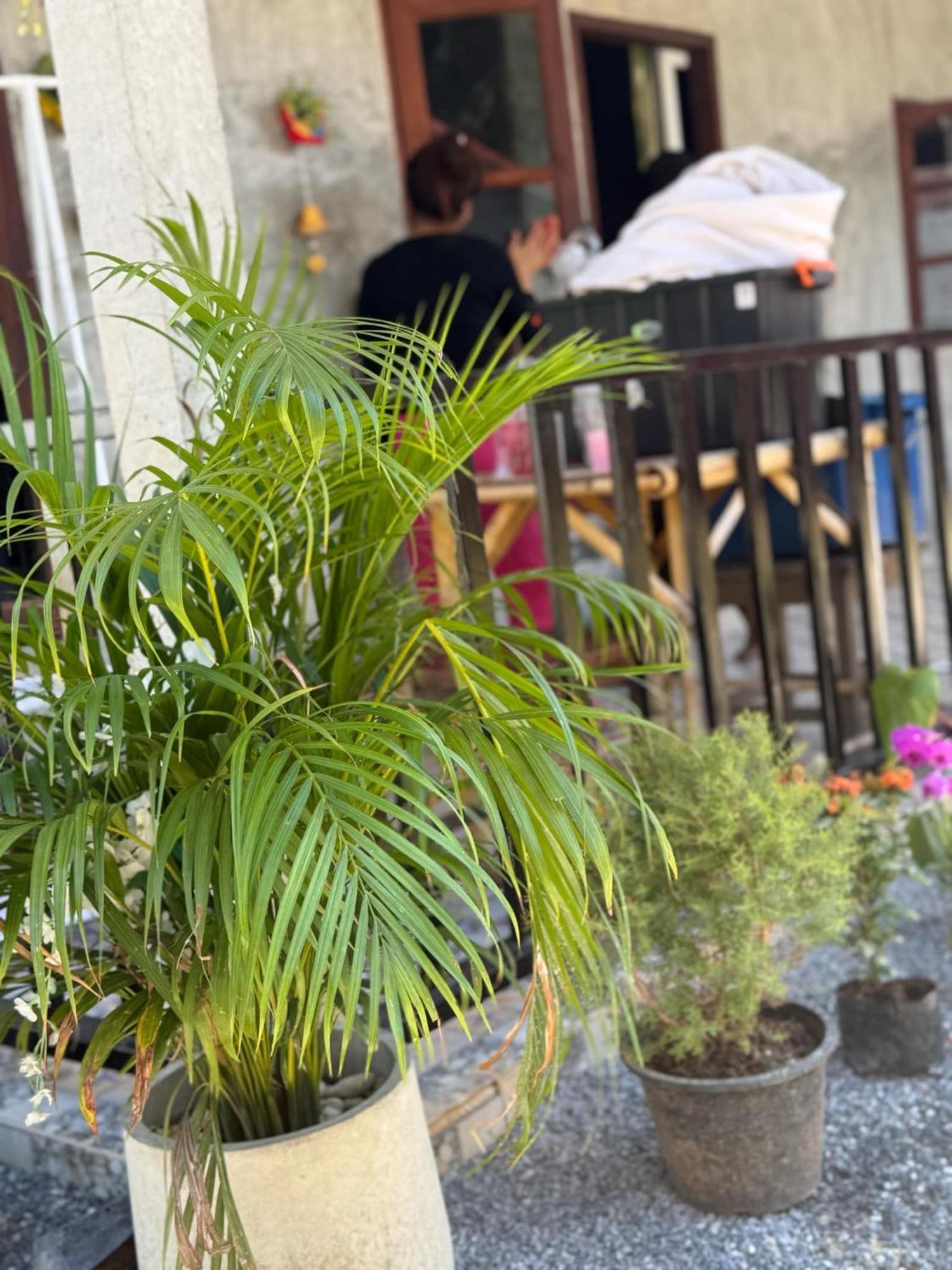 Lanta Natural Hut Garden Ko Lanta Exteriér fotografie